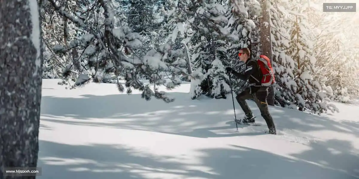 行业领先的理由